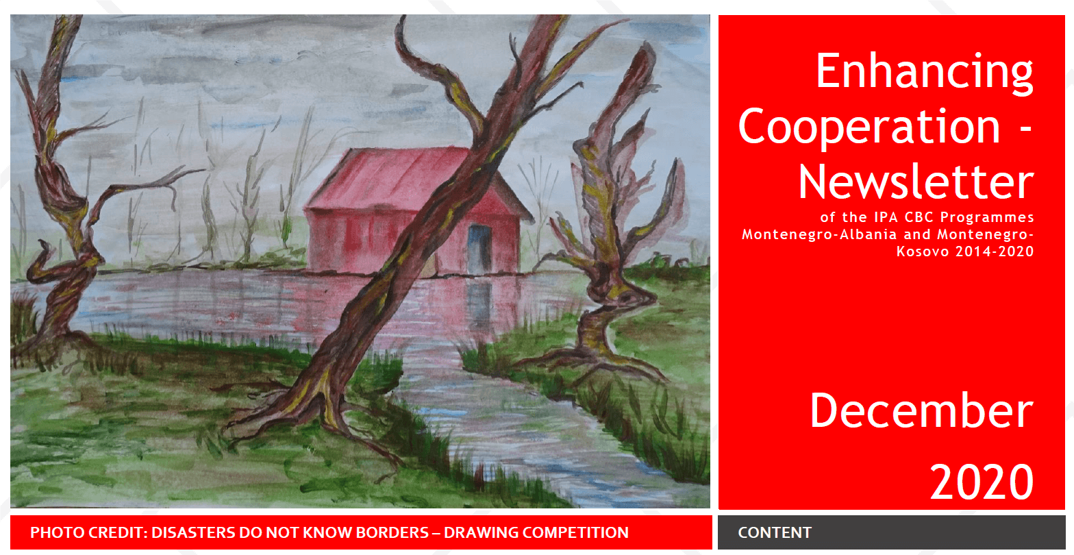 Ninth issue of the Newsletter Enhancing Cooperation available